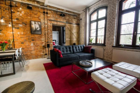 LOFT apartment 200m to Old Town wi-fi, Olsztyn